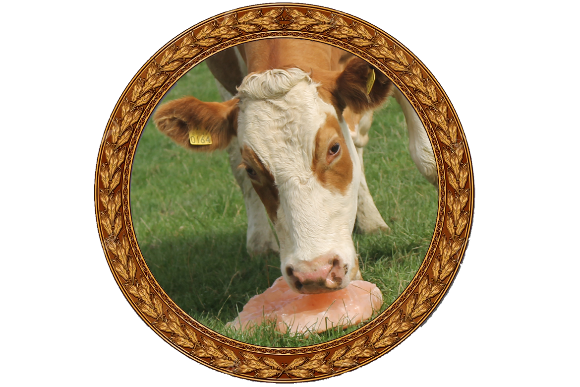 Animal Licking Natural Salt