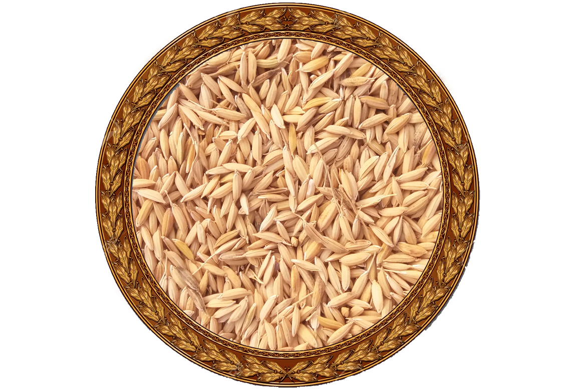 Rice Husk