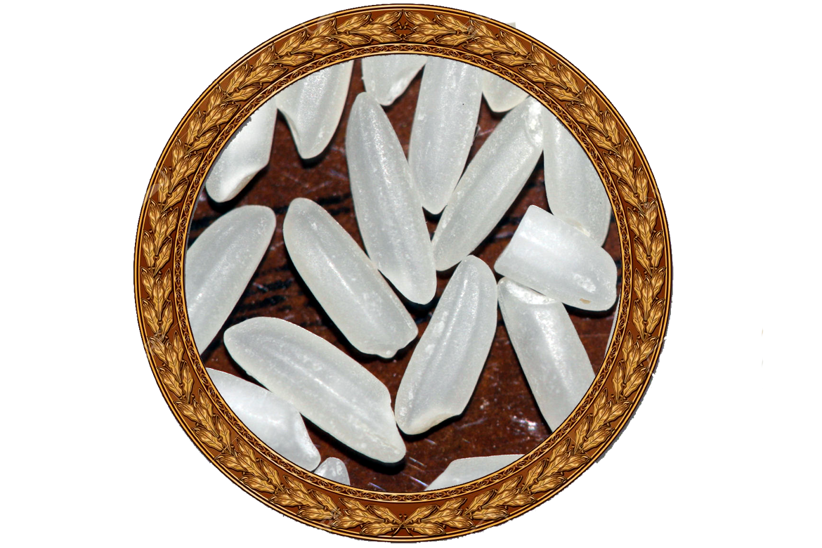 long grain rice / irri-6