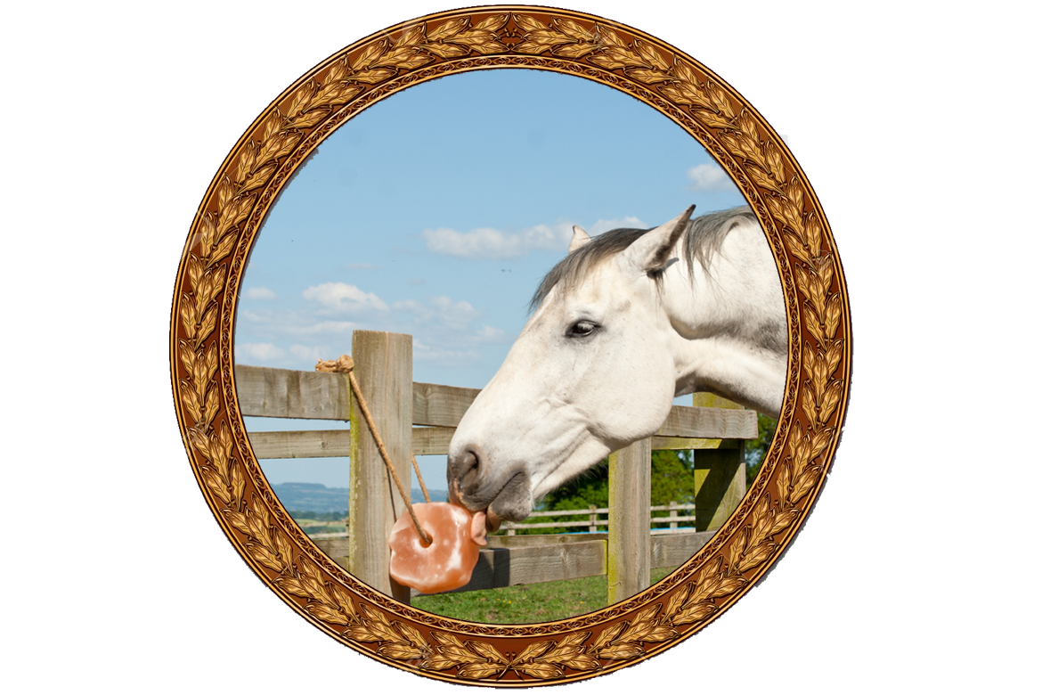 Animal Licking Salt & Blocks
