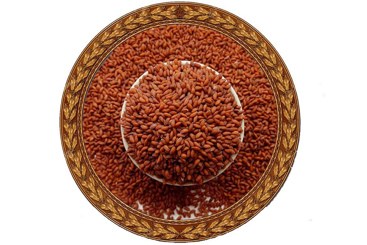Asaliya / Aselio Garden Cress Seed