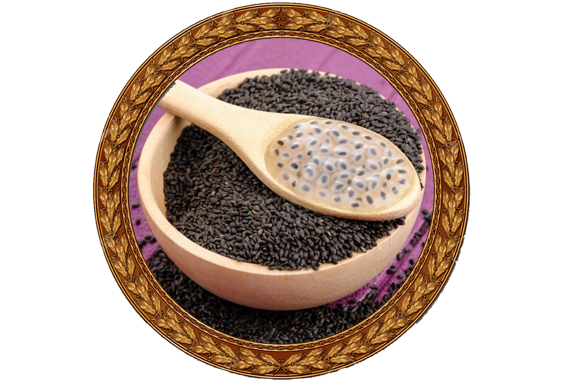 Basil Seeds