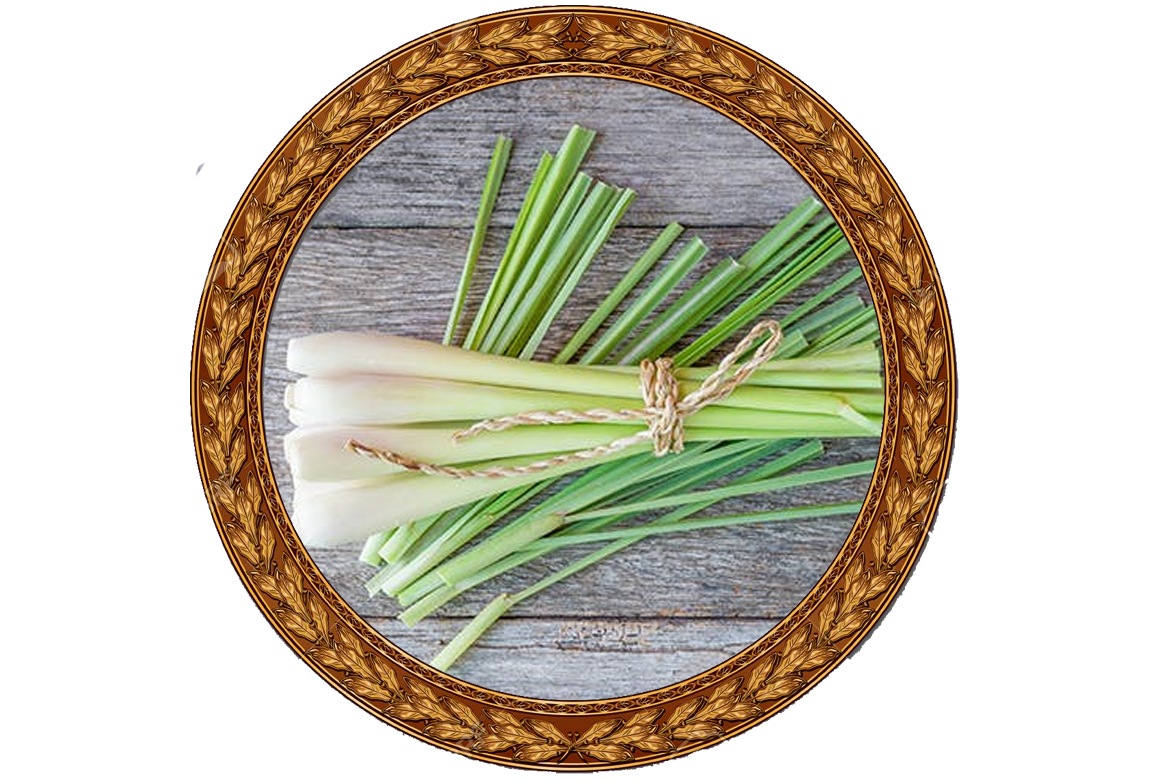 Lemon Grass