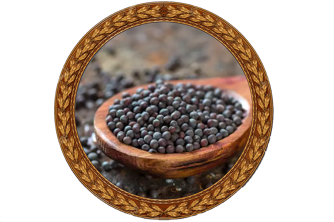 Mustard Seed whole and powder