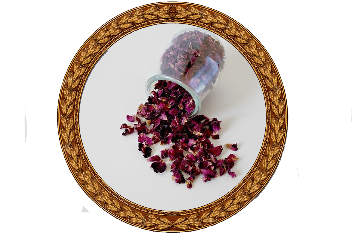 Dried Red Rose Patel