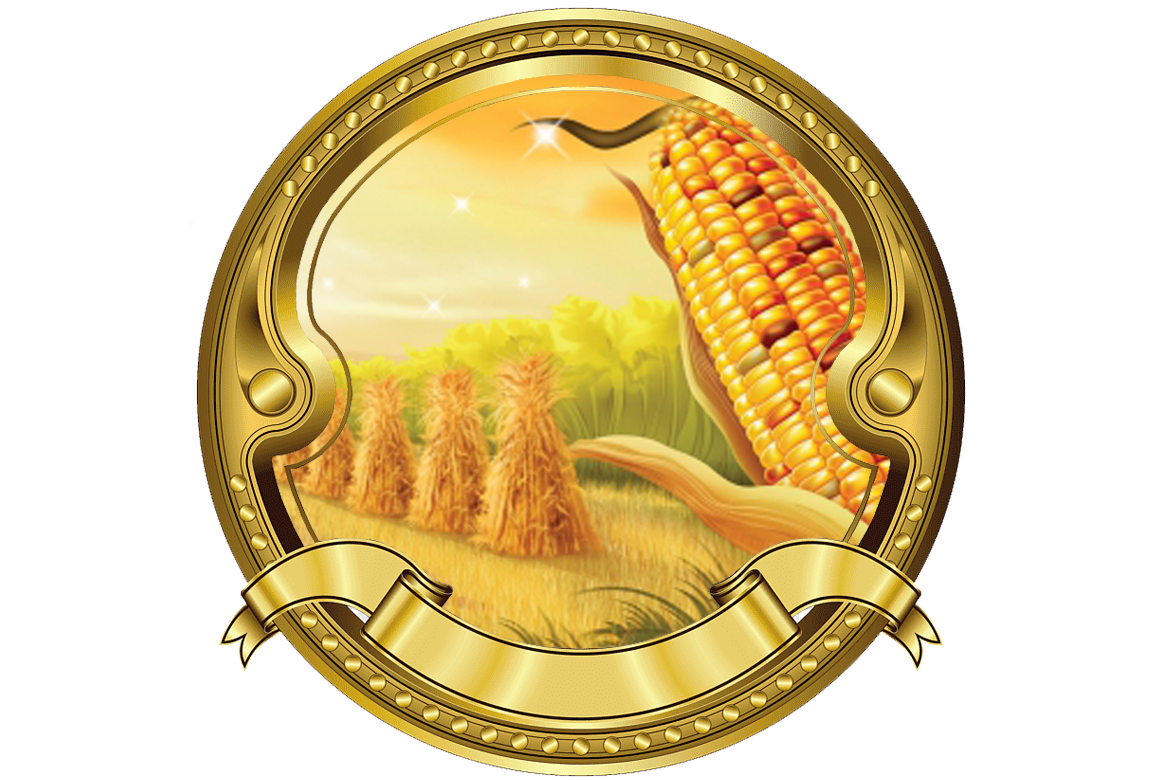 yellow corn, Animal & bird feeds